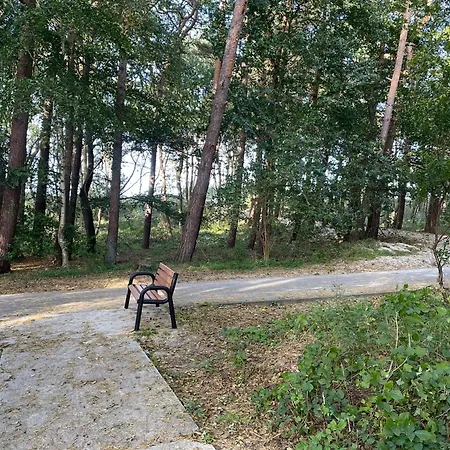 Sand - Posesja Plazowa